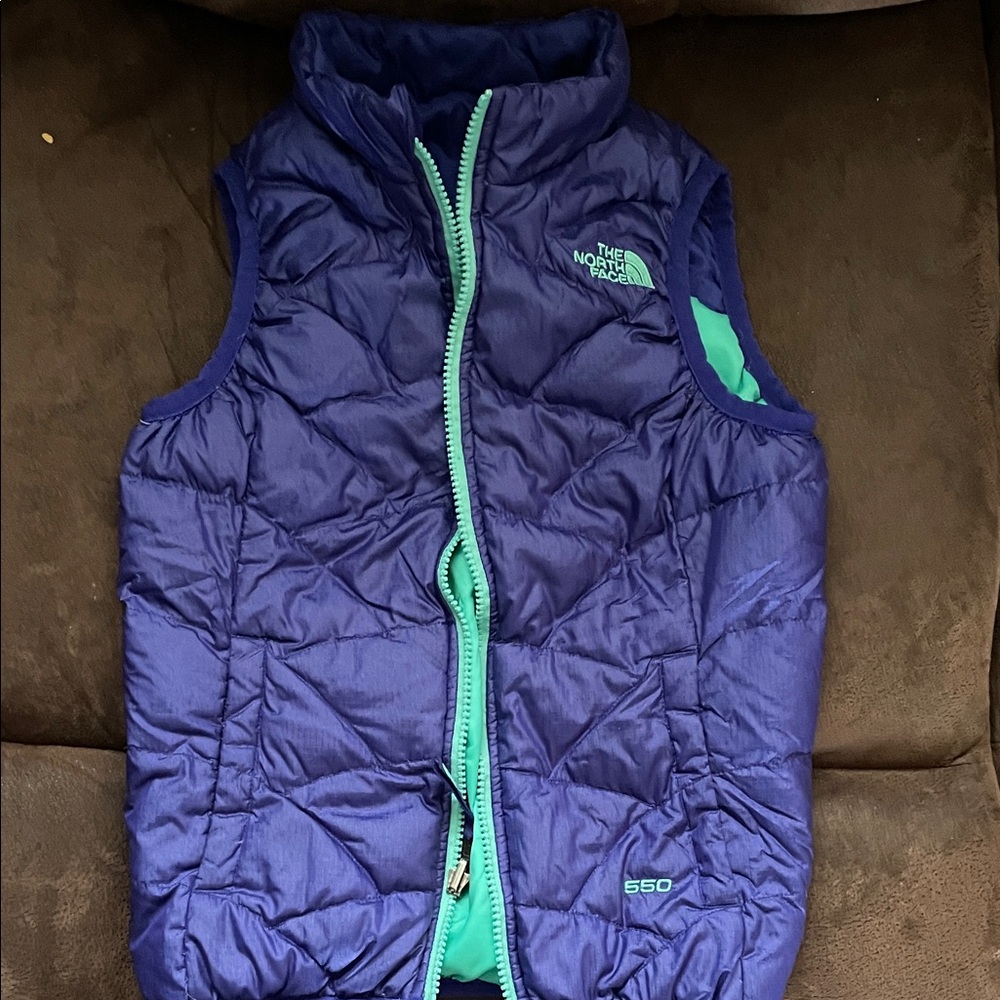 The North Face Purple and Teal Puffer Vest